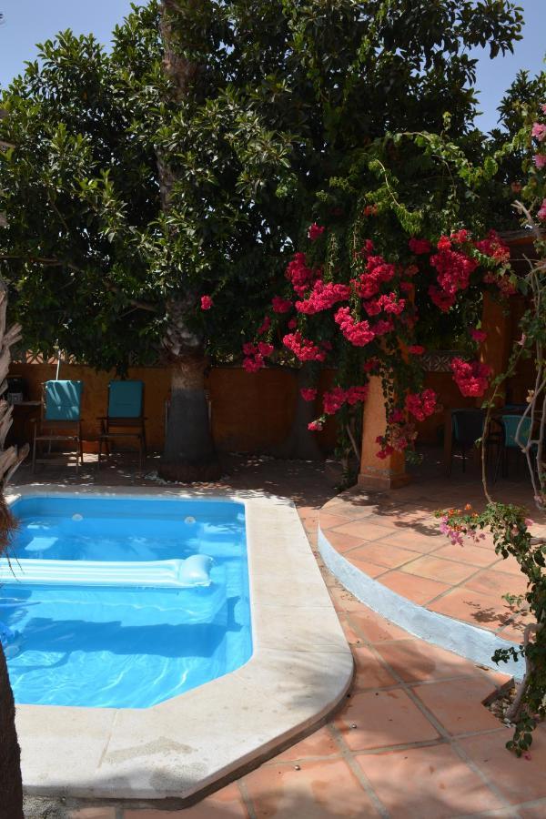 Apartamento Con Jacuzzi Y Terraza Con Opcion A Piscina Privada Almunecar Exterior photo